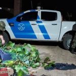 Chaco: Hombre disfrazado de camalote contrabandeaba mercadería por agua