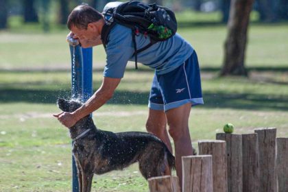 Pronóstico del clima en Buenos Aires para este viernes 22 de noviembre