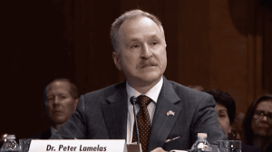 Designado Peter Lamelas como Embajador de EEUU en Argentina