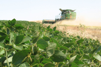 Récord histórico: el agro argentino liquidó más de USD 4.100