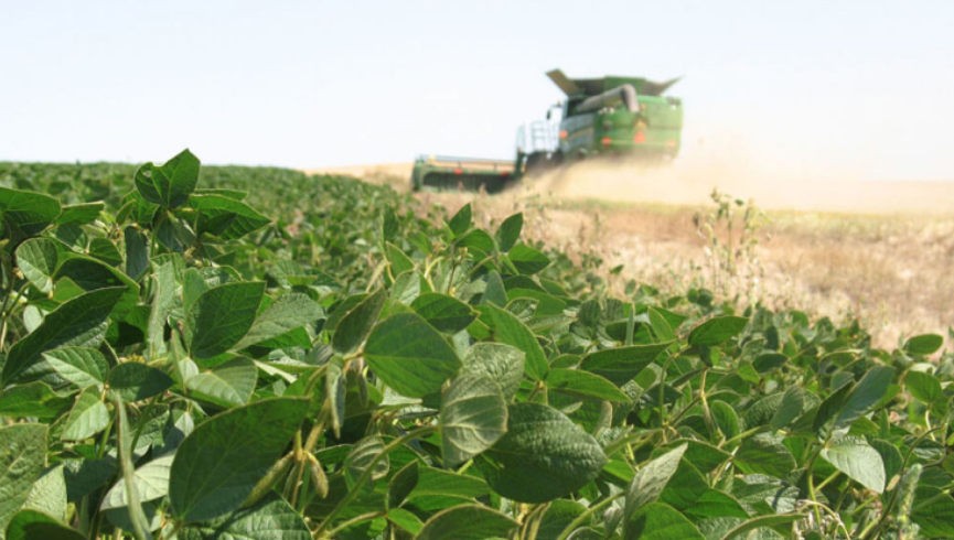 Récord histórico: el agro argentino liquidó más de USD 4.100