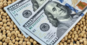 Récord histórico: el agro argentino liquidó más de USD 4.100