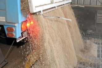 Bunge desvía cargamento de harina de soja y genera expectativa en el mercado exportador