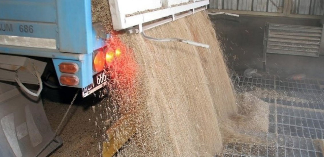 Bunge desvía cargamento de harina de soja y genera expectativa en el mercado exportador
