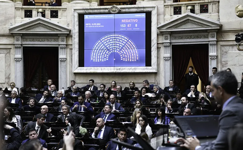 Diputados rechaza el veto presidencial y confirma la Ley de Emergencia en Discapacidad