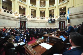 El Senado revierte el veto de Milei y devuelve vigencia a la ley de discapacidad