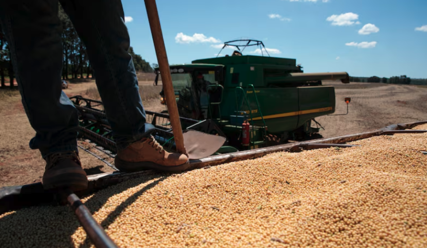 Gobierno elimina temporalmente las retenciones a granos
